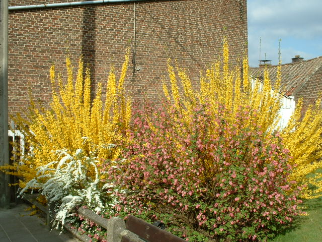 Przyroda nie zmienila sie... Okolicznosci... Moze?